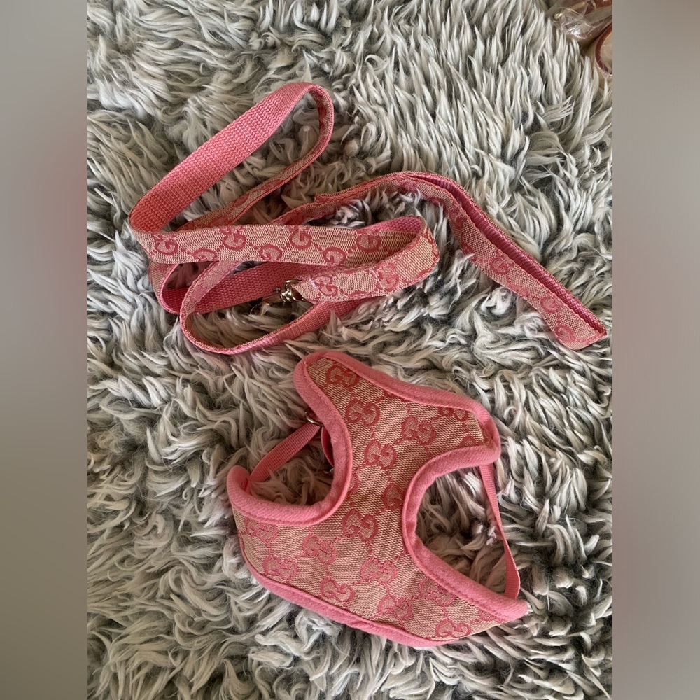 DOG HARNESS AND LEASH